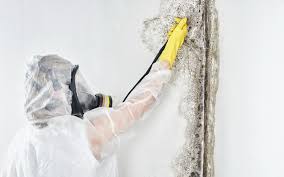 Best Residential Mold Inspection & Testing  in Valdosta, GA